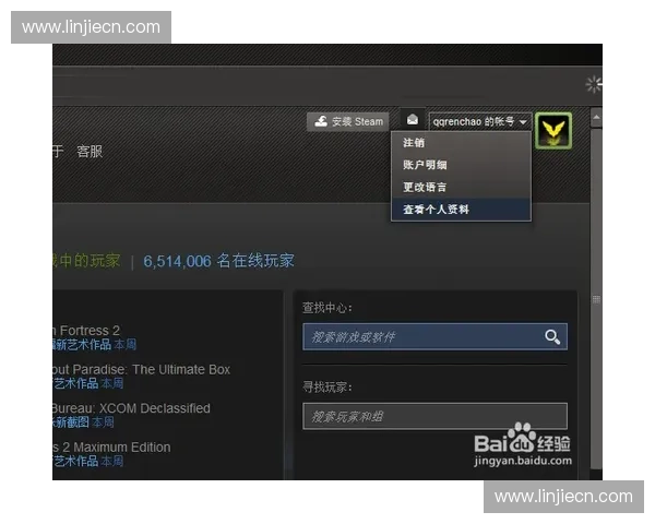 Dota2鸡眼角色分析与技能解析 探讨其在游戏中的战略价值与使用技巧